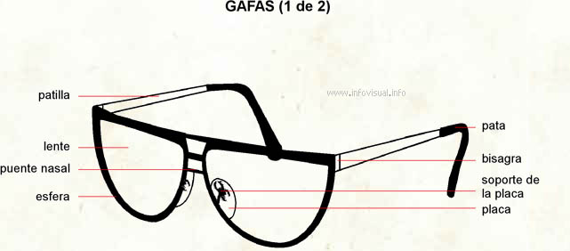 Gafa (Diccionario visual)
